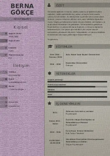 Fizyoterapist Cv Örnekleri cv indir